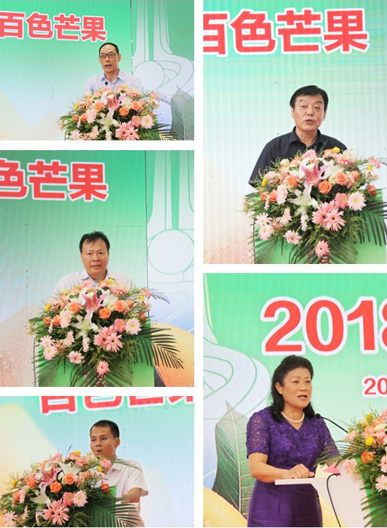 百色芒果（濟(jì)南）專場推介會(huì)在濟(jì)南堤口果品批發(fā)市場隆重舉辦